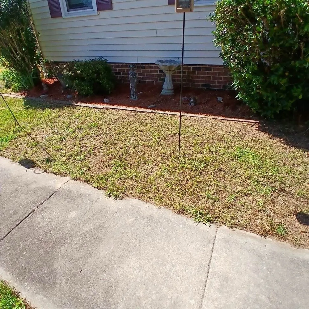 Expert residential landscaping with custom design in Hampton, VA by Cp Cuts