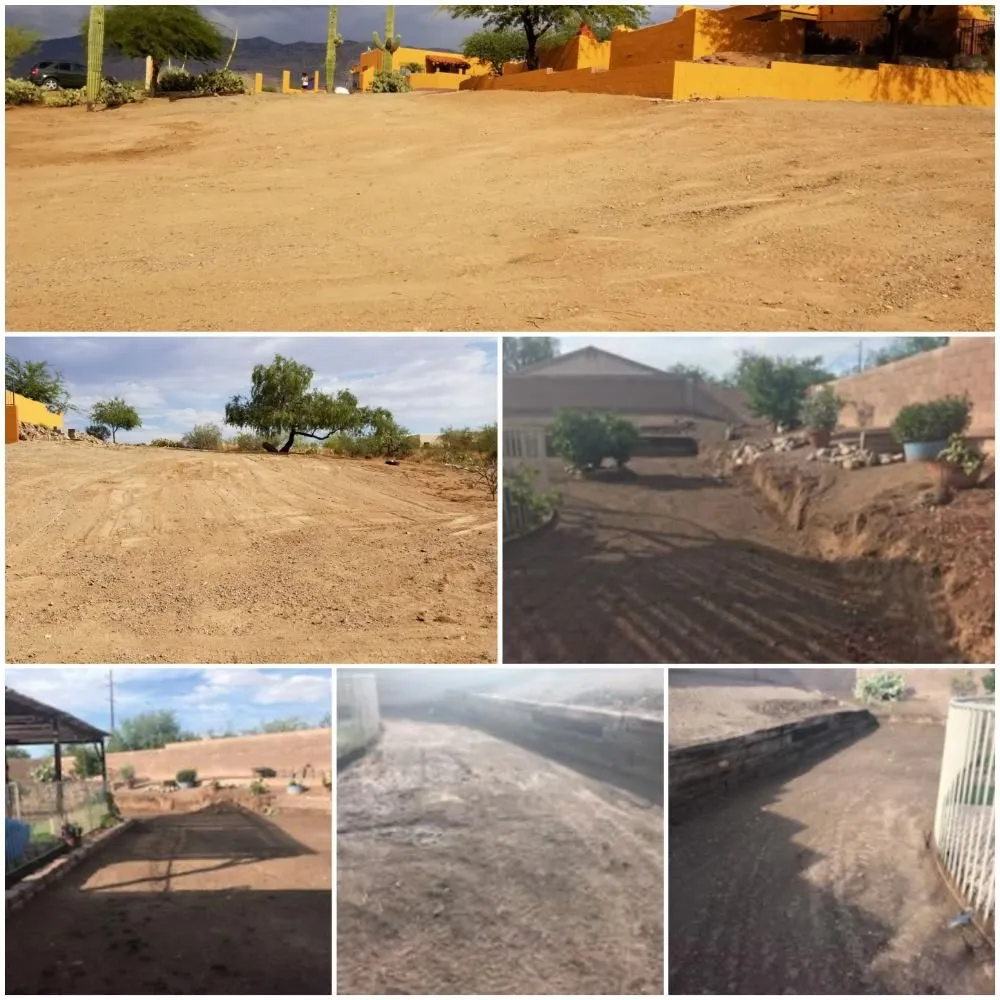 Professional garden landscaping for year-round maintenance in Tucson, AZ by C.P Demolition