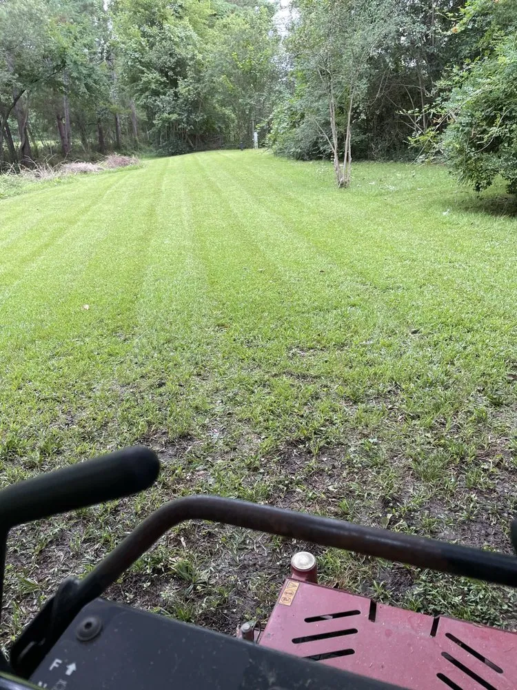 Top-rated lawn care service for beautiful yards in Cleveland, TX by CP Landscape Service