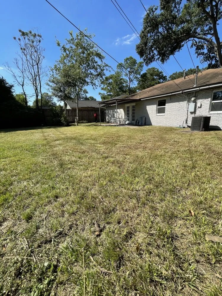 Expert yard cleanup service with custom design across Cleveland, TX - CP Landscape Service