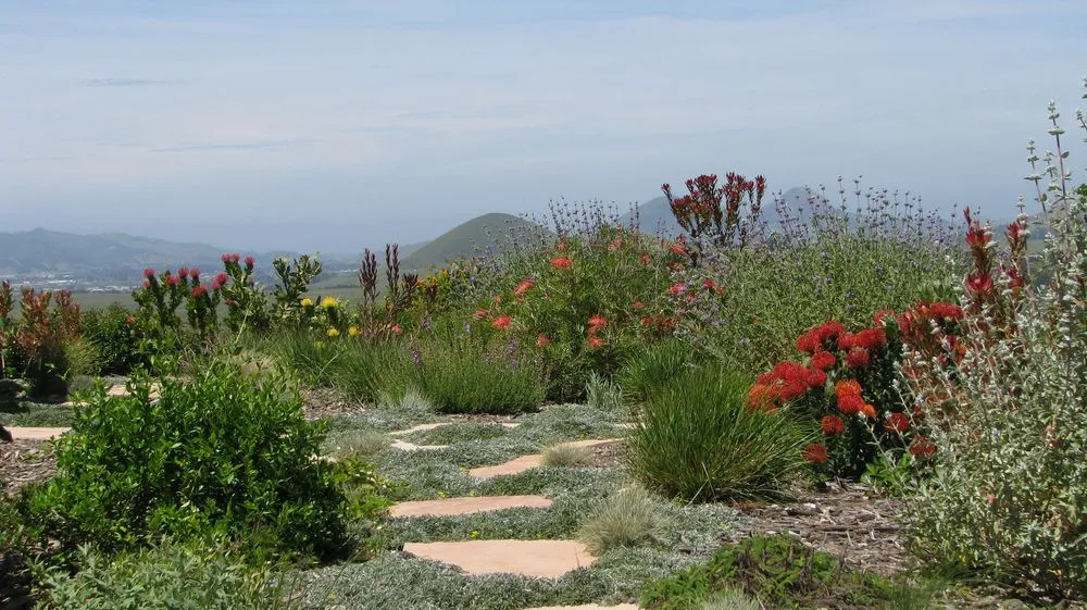 Expert lawn mowing service for beautiful yards in Morro Bay, CA by CP Landscapes