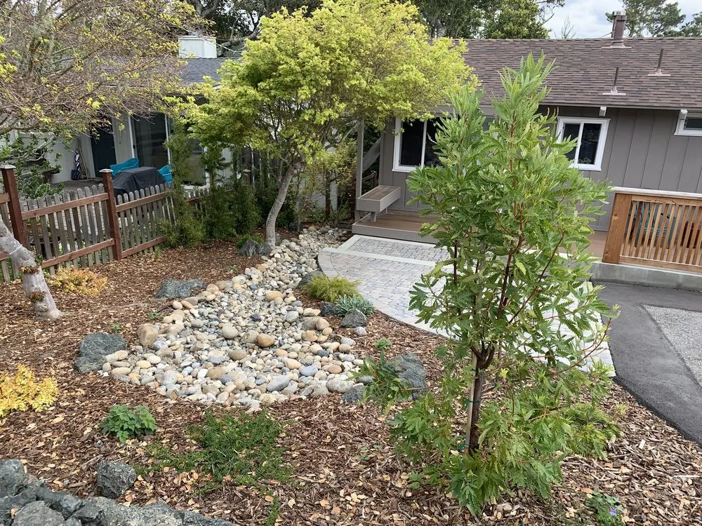 Reliable lawn care service for beautiful yards across Morro Bay, CA - CP Landscapes