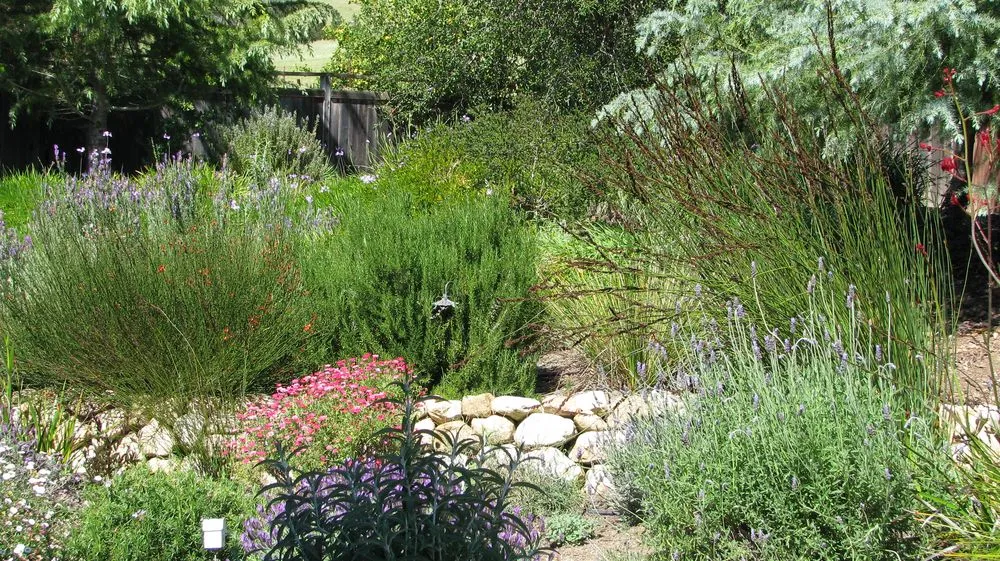 Expert lawn care service for outdoor upgrades in Morro Bay, CA by CP Landscapes