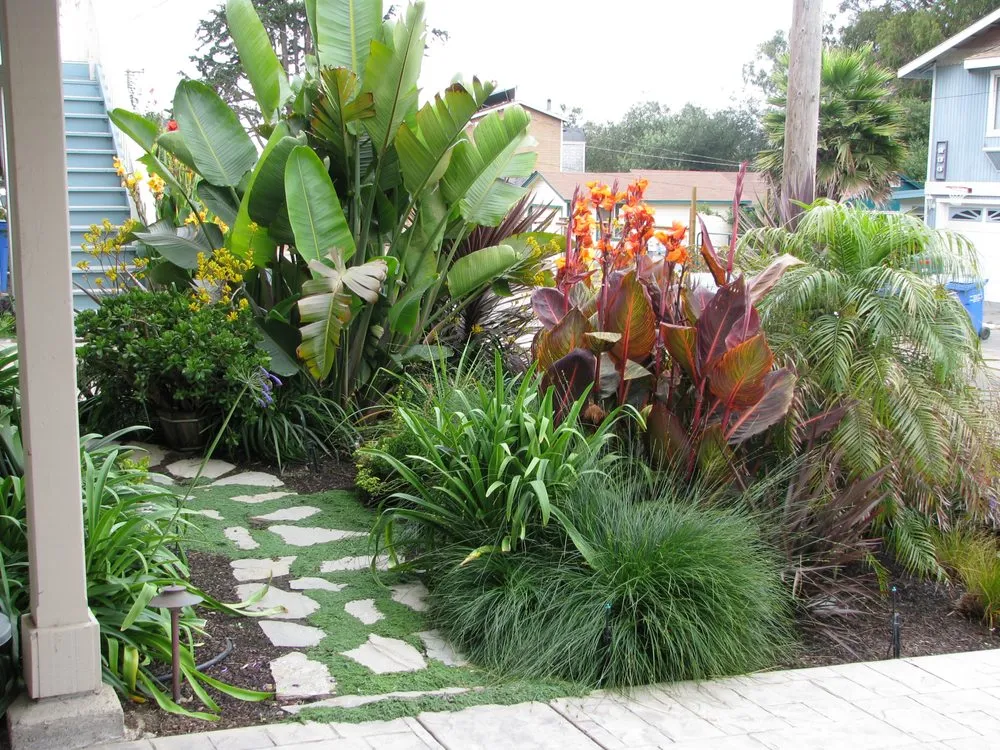 Affordable yard cleanup service in Morro Bay, CA - CP Landscapes