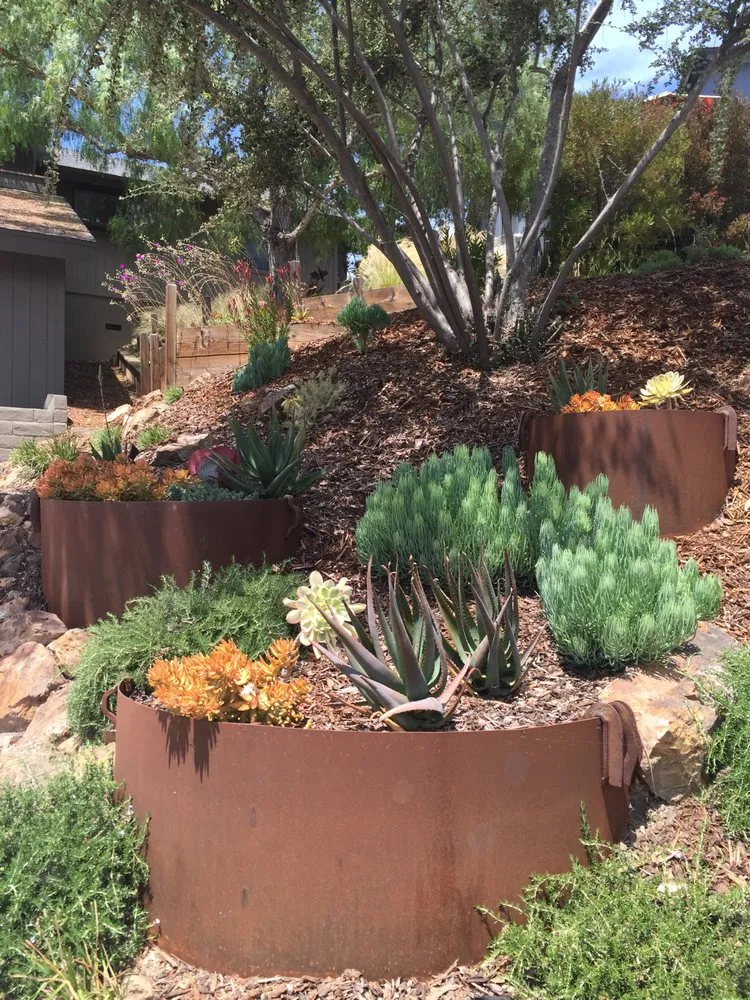 Local outdoor landscaping for residential properties across Morro Bay, CA - CP Landscapes