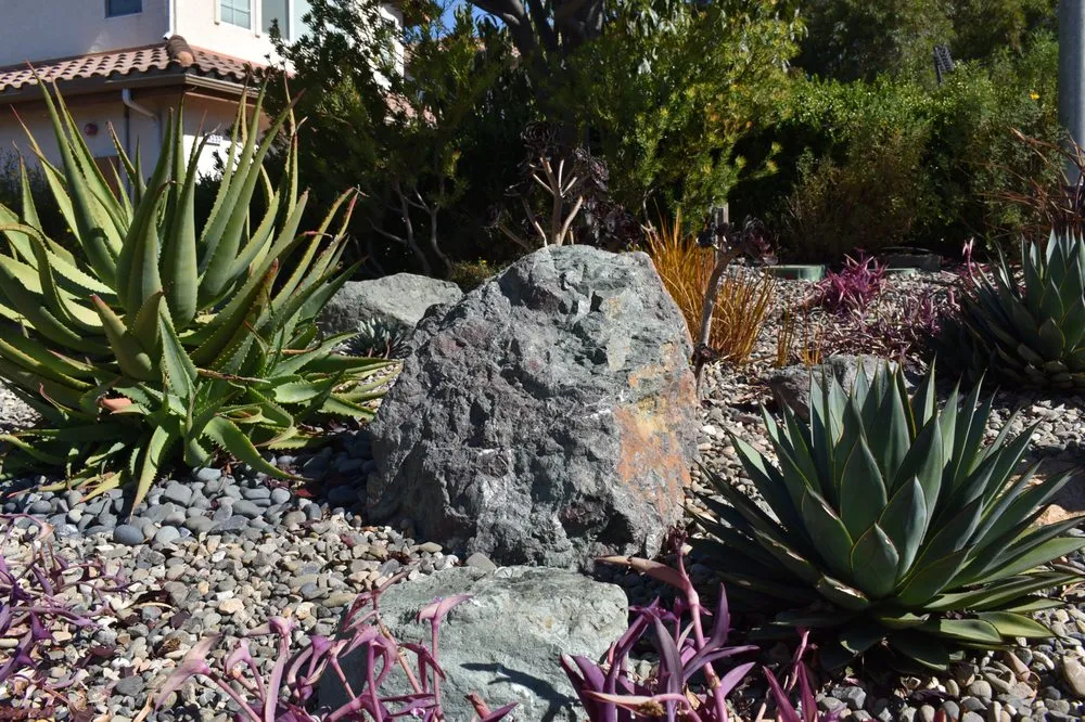 Expert landscape design for beautiful yards across Morro Bay, CA - CP Landscapes