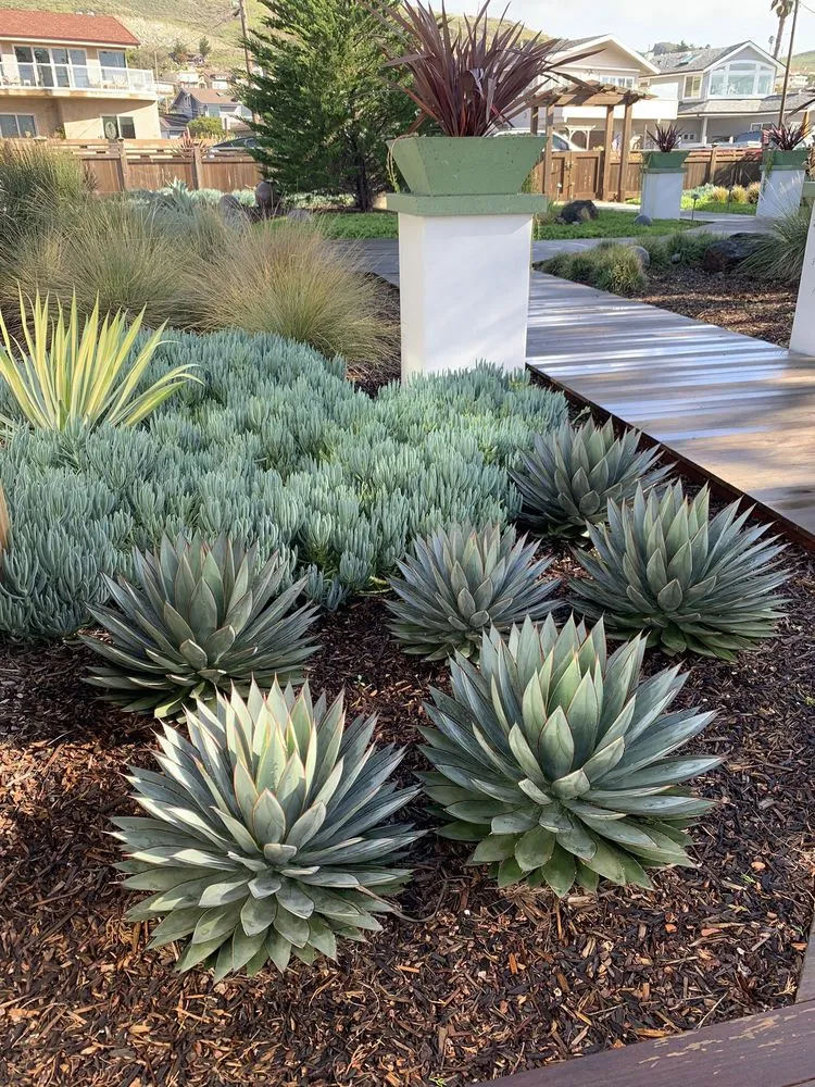 Reliable lawn mowing service with custom design in Morro Bay, CA by CP Landscapes