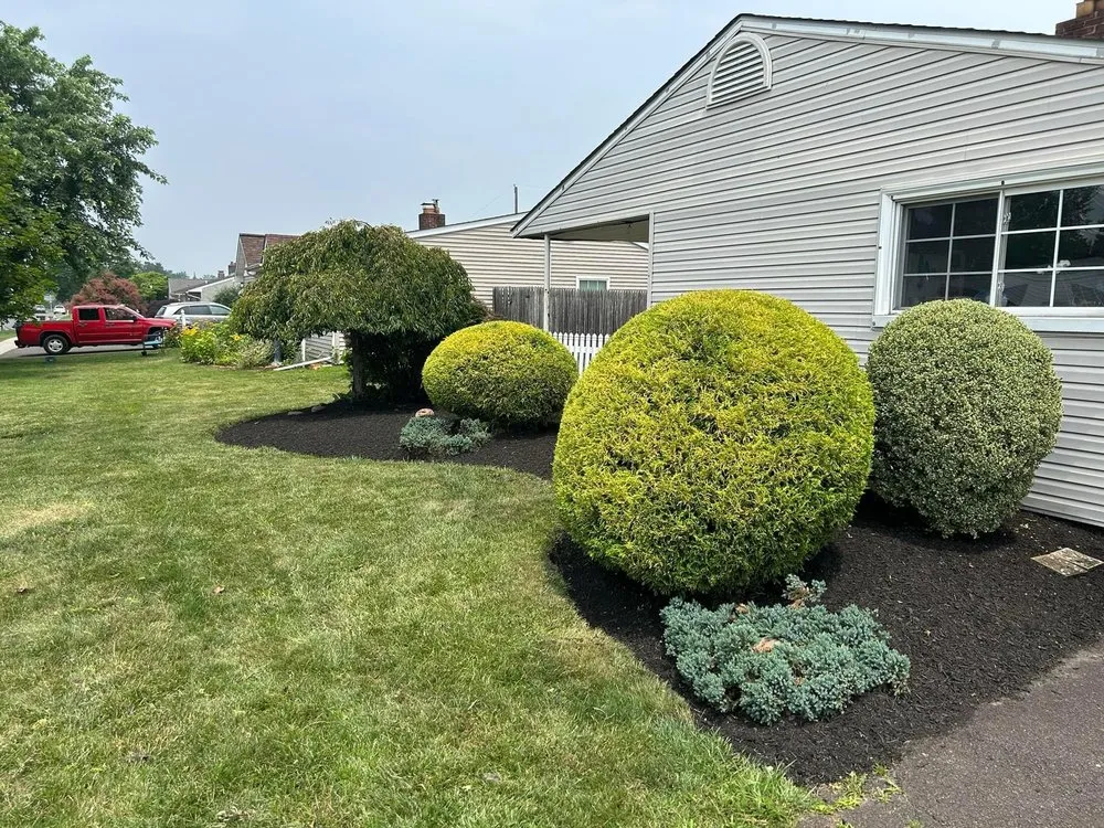 Top-rated lawn care service in Levittown, PA - C&P Landscaping