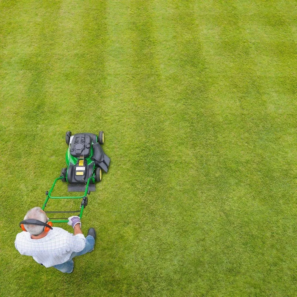 Custom outdoor landscaping experts serving Bourbonnais, IL - CP Lawn Care