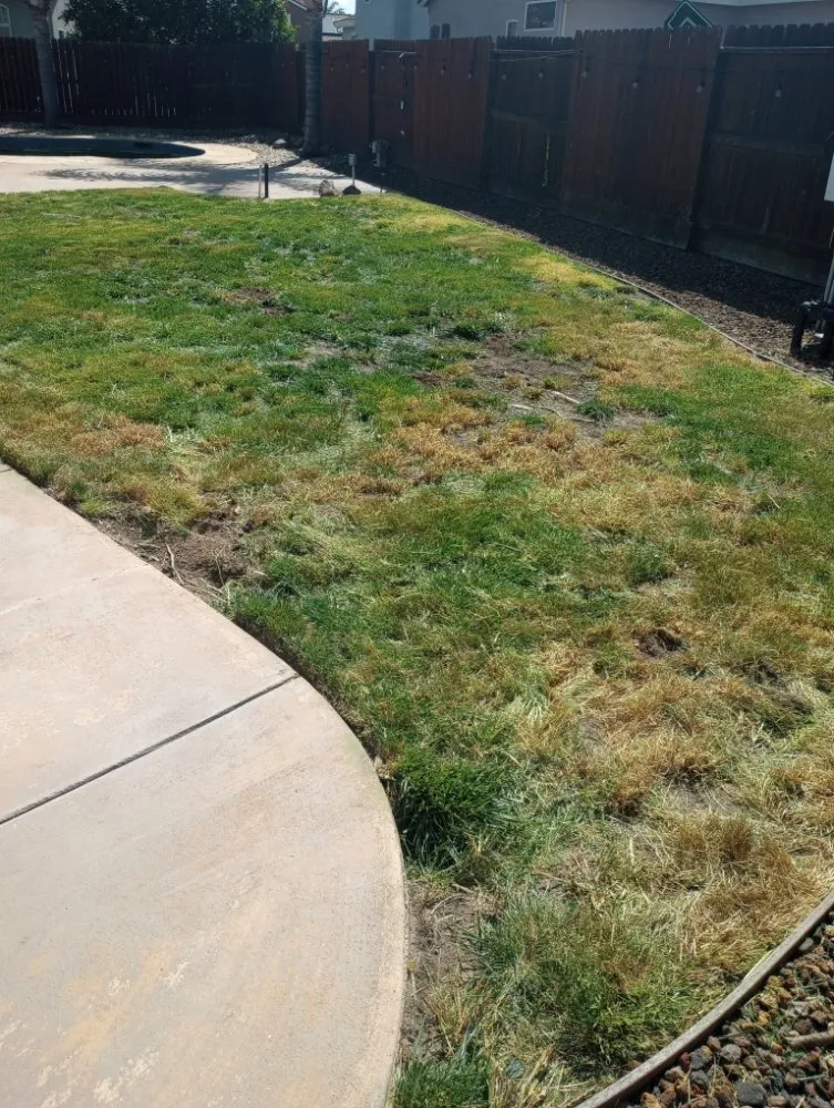 Professional outdoor landscaping experts serving Modesto, CA - CP Lawn Care