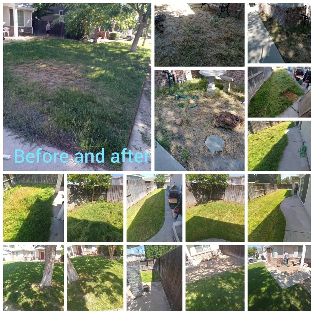 Custom garden landscaping in Modesto, CA - CP Lawn Care