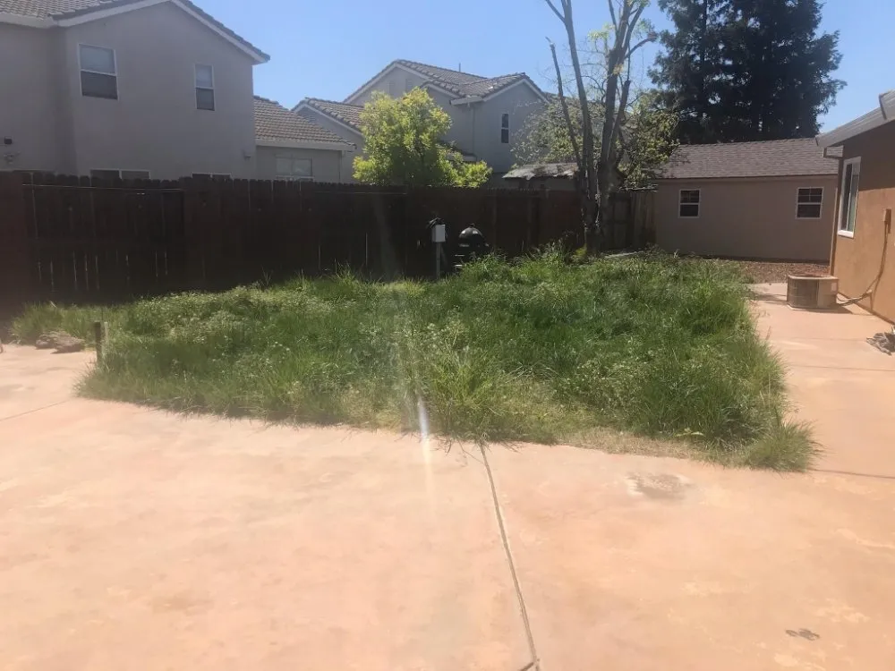 Affordable landscaping services experts serving Modesto, CA - CP Lawn Care