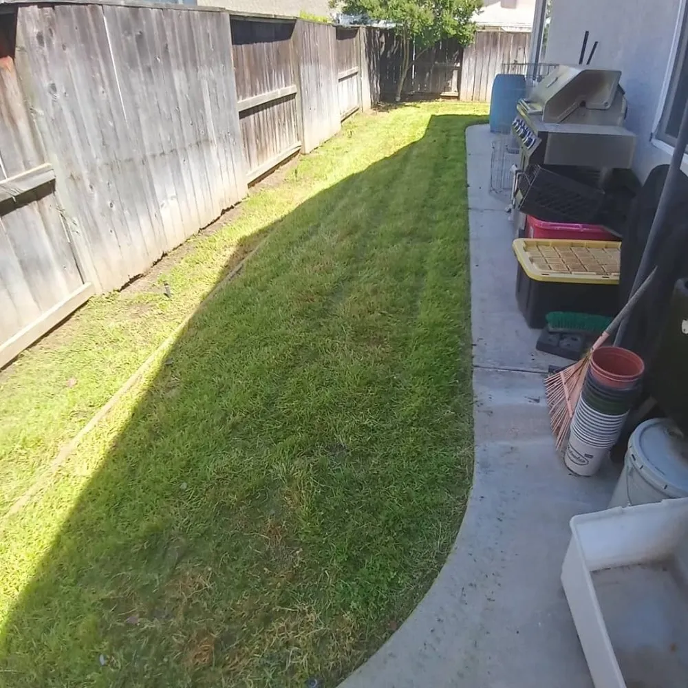 Reliable lawn care service with custom design in Modesto, CA by CP Lawn Care