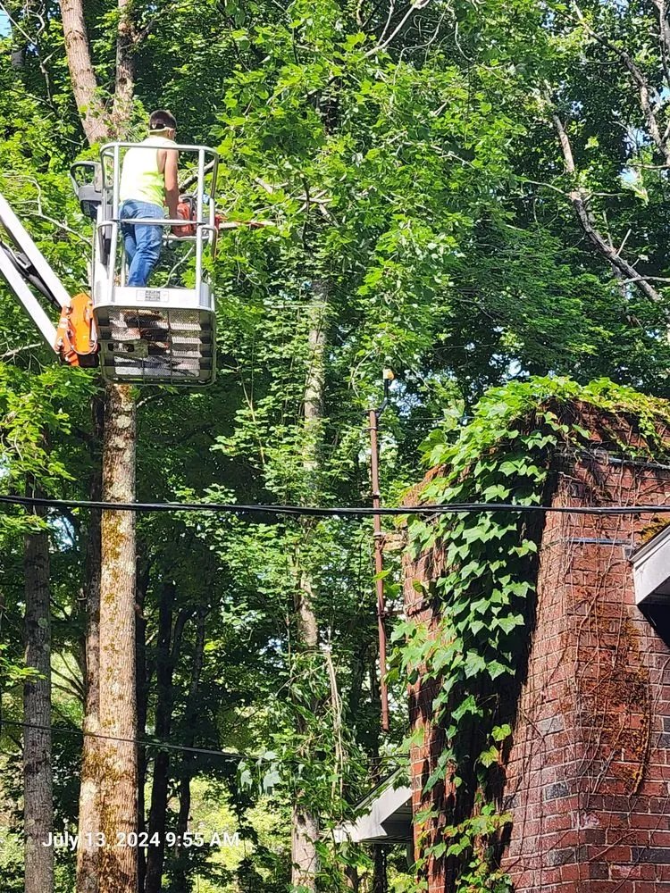 Professional landscape design in New Gloucester, ME by C&P Lawn Care