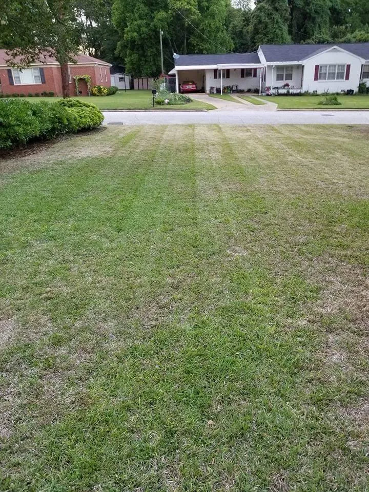 Affordable residential landscaping experts serving Phenix City, AL - CP Lawn Care