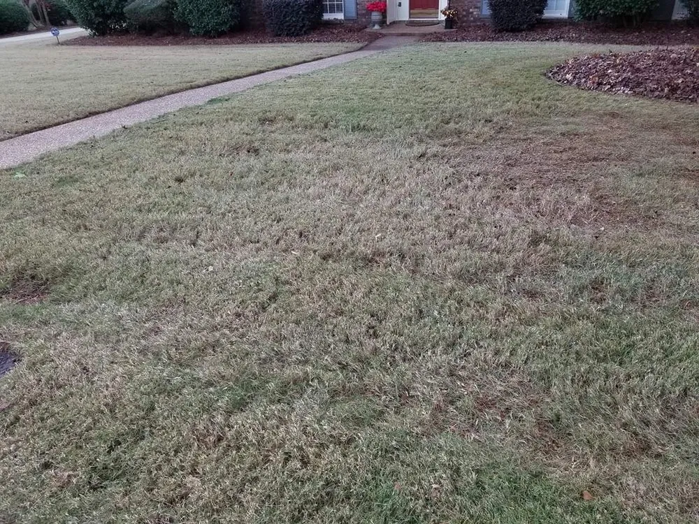 Top-rated garden landscaping in Phenix City, AL - CP Lawn Care