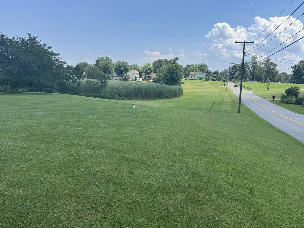 Local yard cleanup service in Edgemere, MD by C&P Lawn Service and Pressure Washing