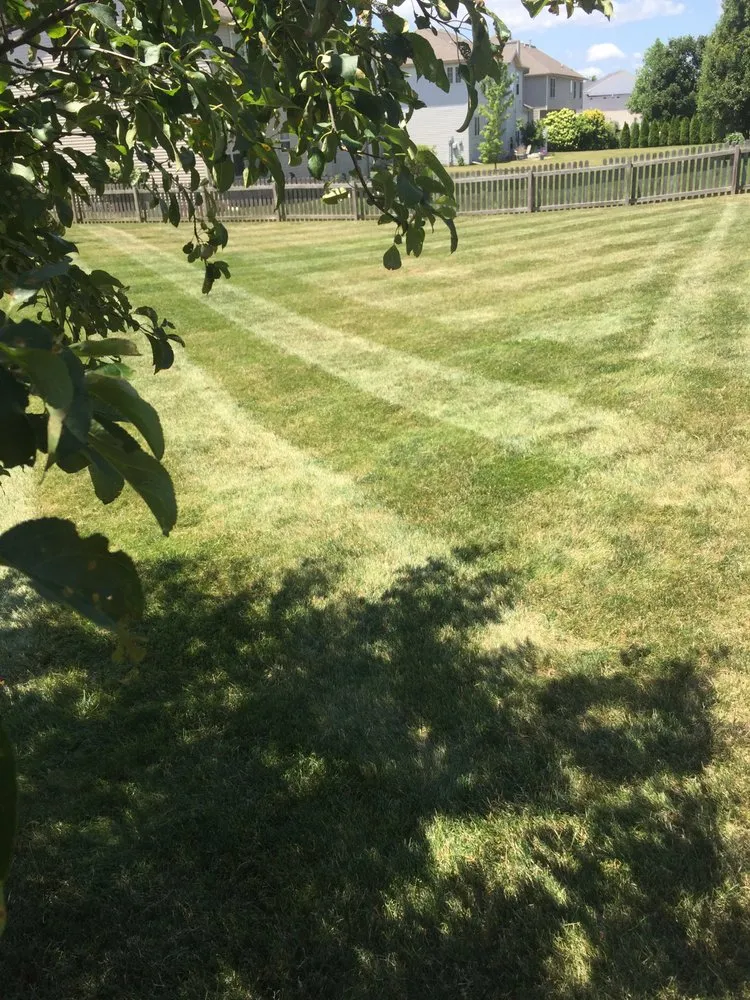 Professional landscape installation for year-round maintenance across Champaign, IL - CP Lawn Service