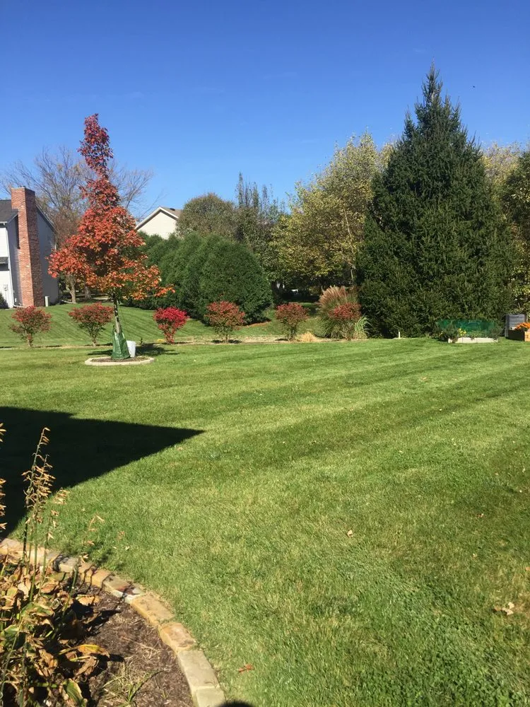 Trusted yard cleanup service for beautiful yards in Champaign, IL by CP Lawn Service