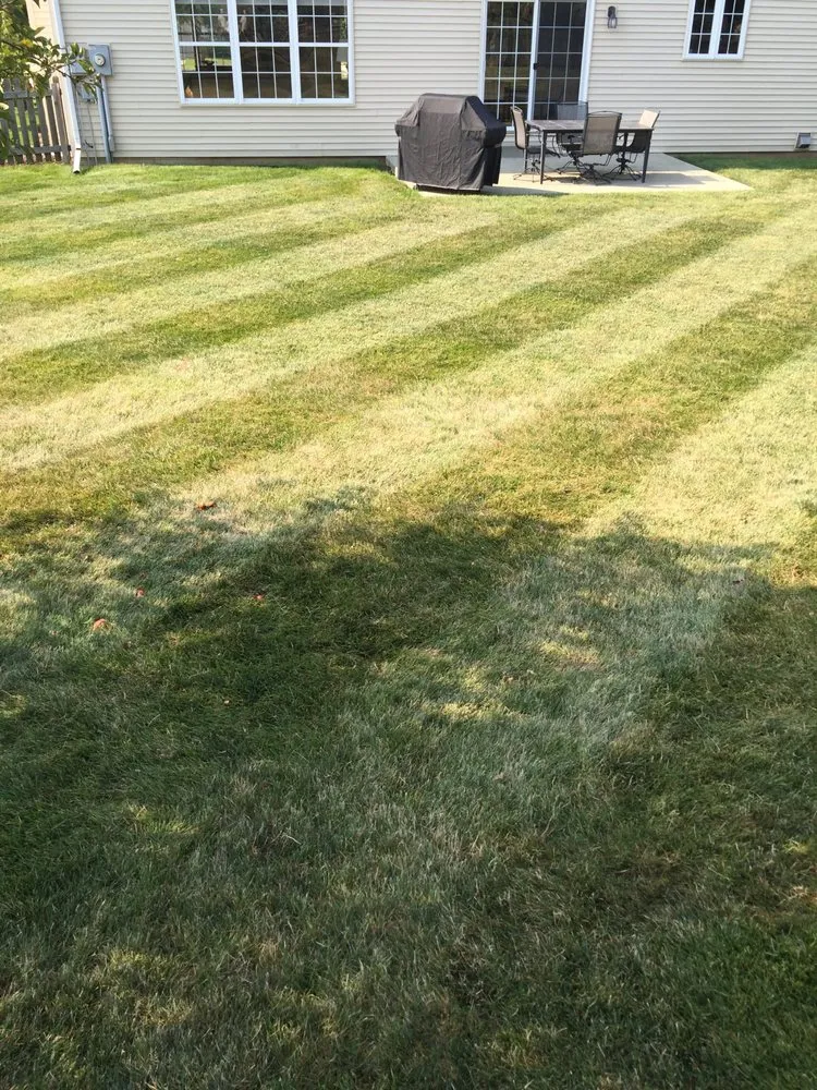 Trusted lawn care service in Champaign, IL by CP Lawn Service