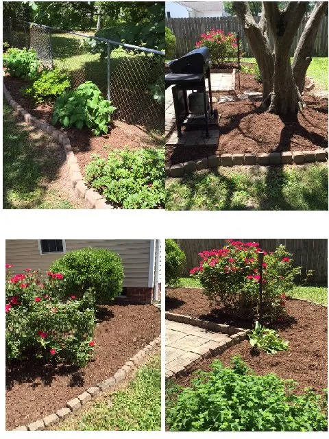 Trusted yard maintenance in Chesapeake, VA - CP Lawncare Services