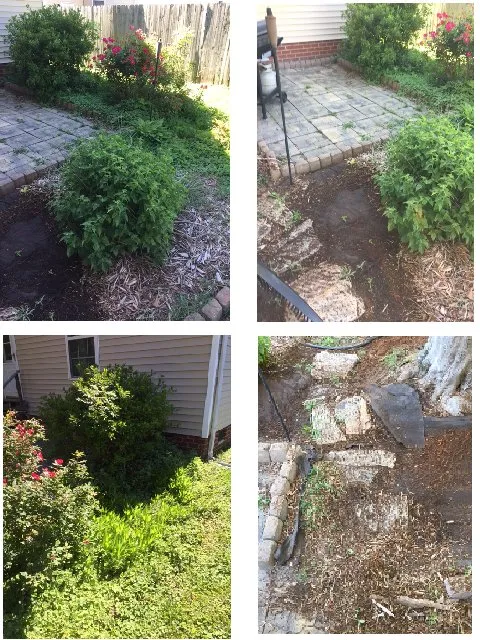 Reliable lawn care service for outdoor upgrades across Chesapeake, VA - CP Lawncare Services