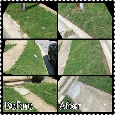 CP Lawncare Services Logo