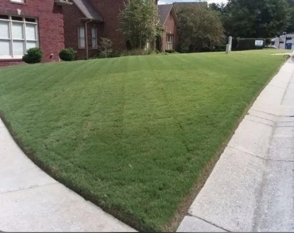 Custom lawn mowing service for beautiful yards in Canyon, TX by CP Mowing