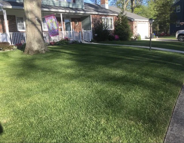 Custom lawn mowing service with custom design in Canyon, TX by CP Mowing