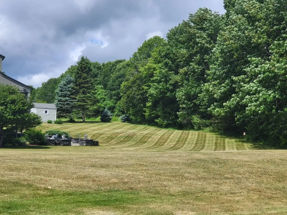 Expert yard cleanup service experts serving Gorham, ME - CP Property Services