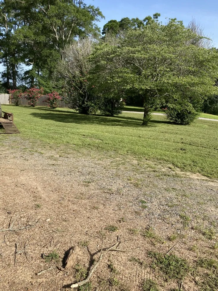 Local landscape design for homes in Henderson, TX by CP Services