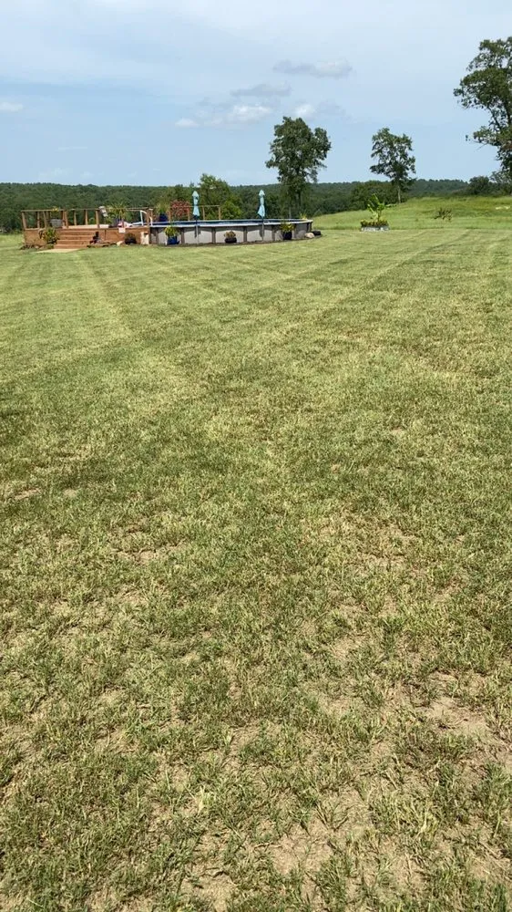 Professional yard cleanup service for year-round maintenance across Henderson, TX - CP Services