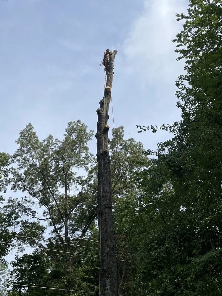 Custom landscaping services in Spotsylvania Courthouse, VA - CP Tree & Landscaping Services