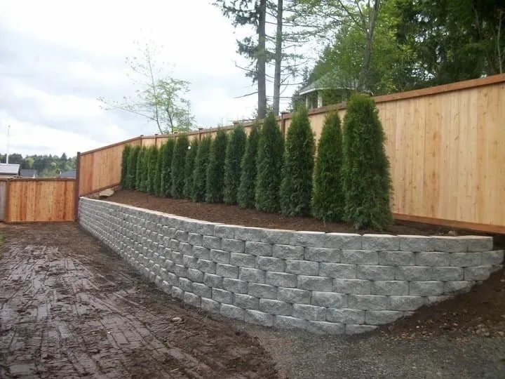 Reliable yard cleanup service experts serving Olympia, WA - CPC Landscape