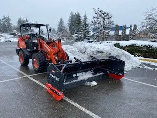 Professional yard cleanup service for residential properties in Olympia, WA by CPC Landscape