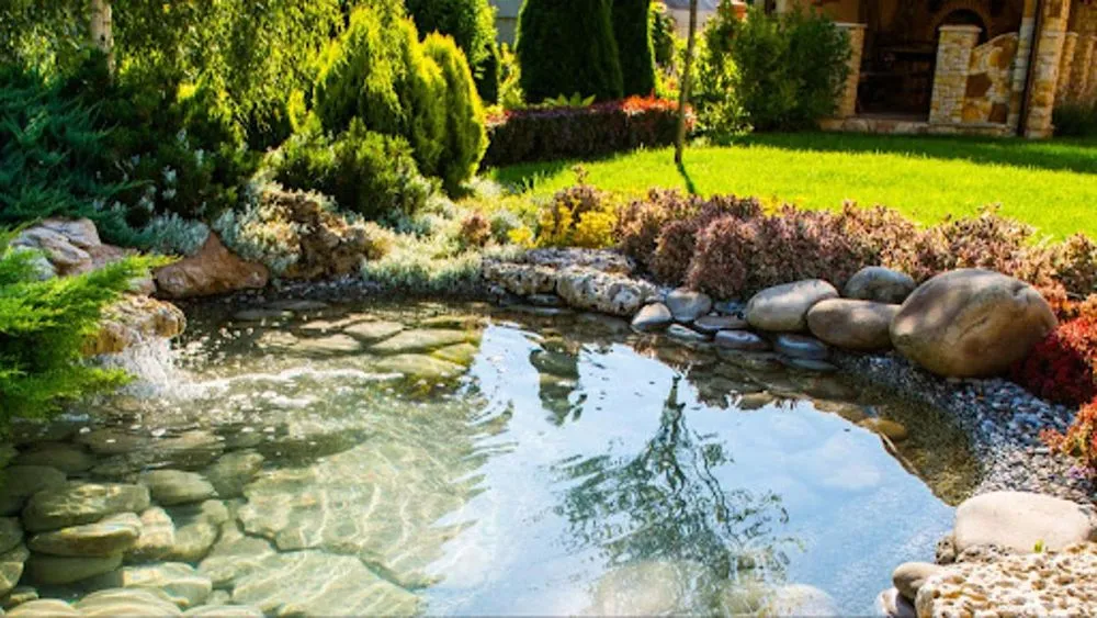 Local yard maintenance in Olympia, WA by CPC Landscape