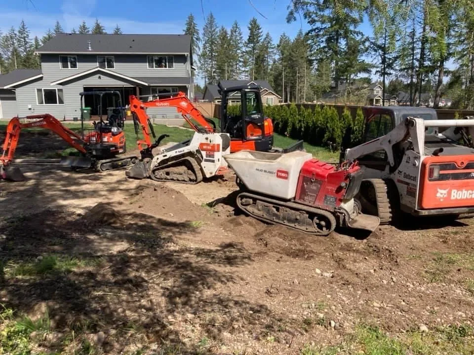 Expert yard cleanup service for year-round maintenance across Olympia, WA - CPC Landscape
