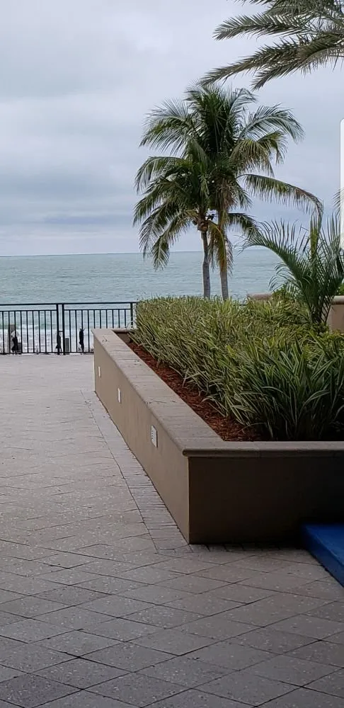 Affordable garden landscaping for residential properties in Bradenton, FL by CPD Landscaping