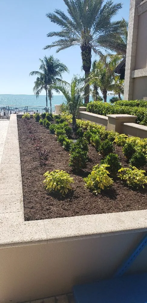 Local residential landscaping in Bradenton, FL by CPD Landscaping