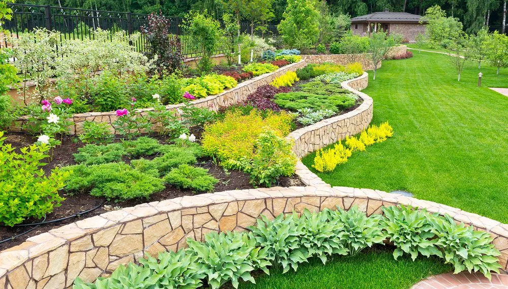 Local yard maintenance in Kenmore, WA by CPG Landscaping