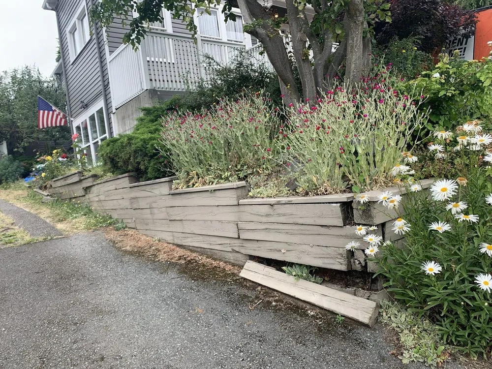 Reliable lawn mowing service for residential properties across Kenmore, WA - CPG Landscaping