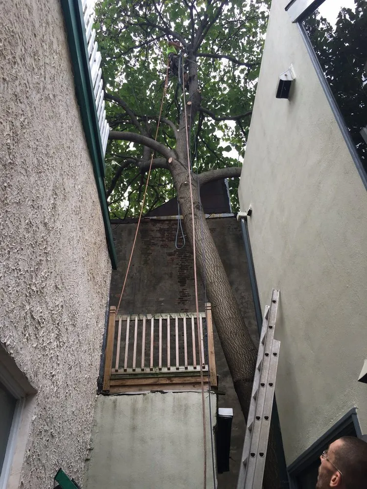 Top-rated residential landscaping with custom design across Springfield, PA - CPL Property and Tree