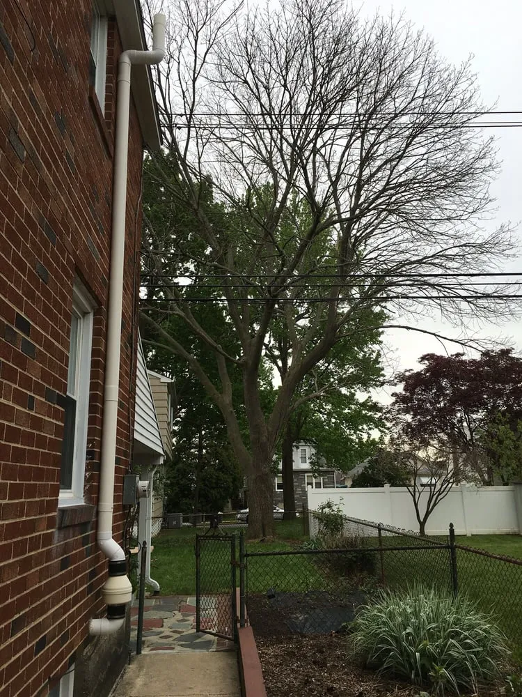 Affordable outdoor landscaping in Springfield, PA - CPL Property and Tree