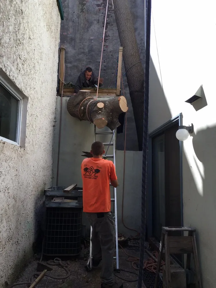 Local garden landscaping in Springfield, PA - CPL Property and Tree