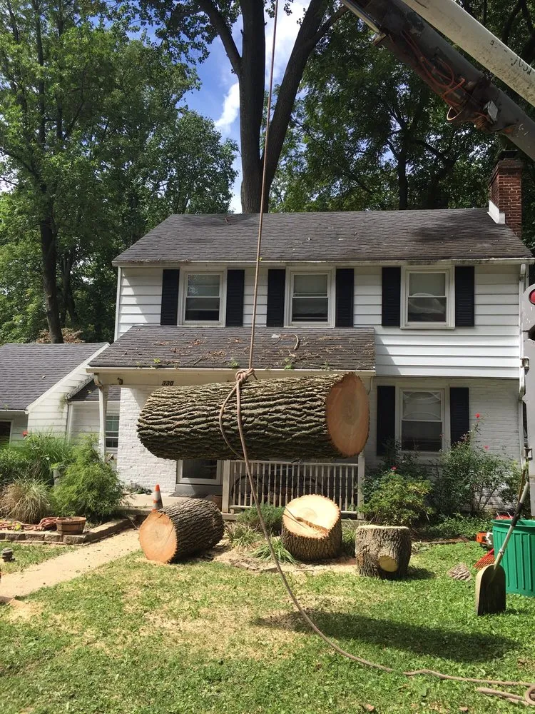 Affordable lawn care service in Springfield, PA - CPL Property and Tree