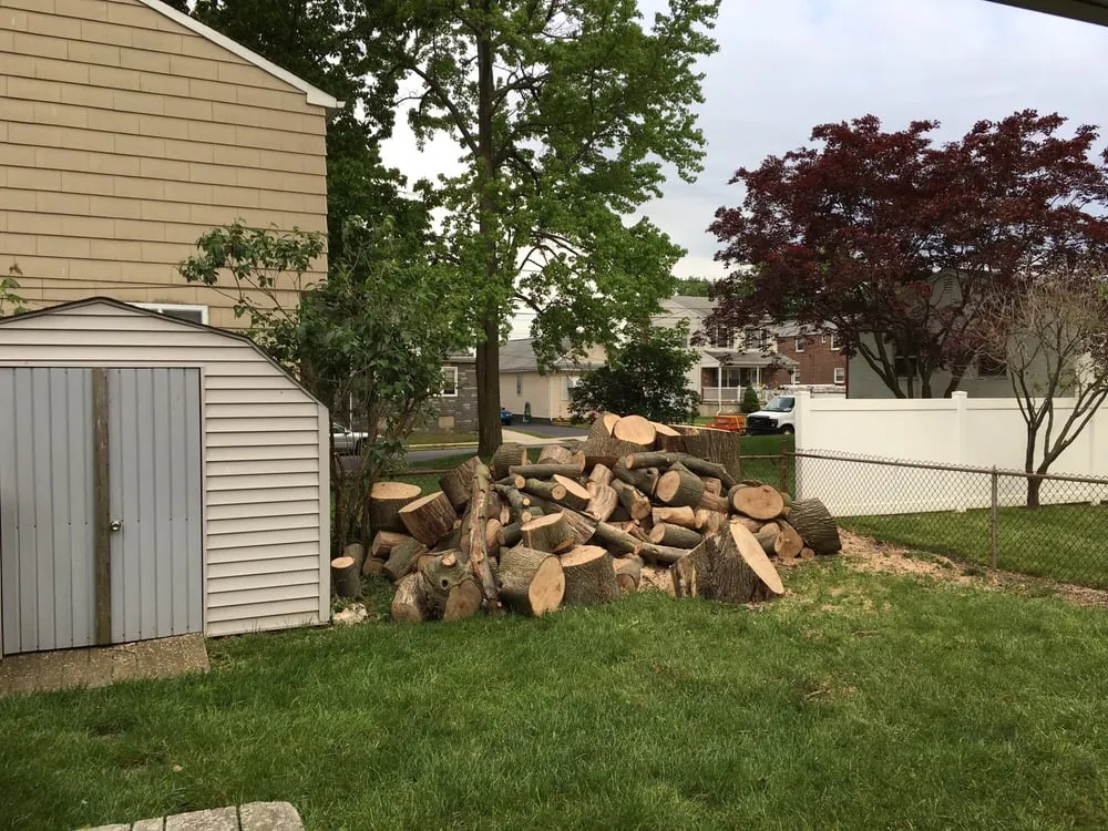 Top-rated landscaping services for outdoor upgrades across Springfield, PA - CPL Property and Tree