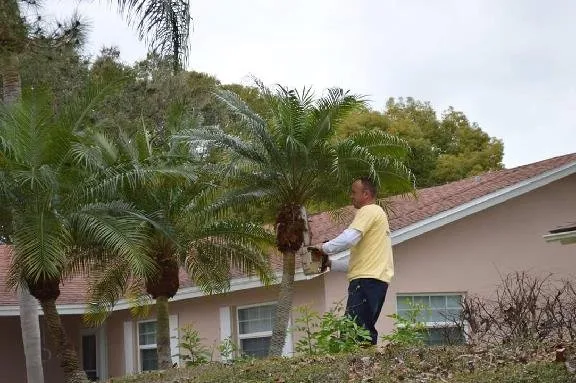 Professional landscape design for outdoor upgrades in Pinellas Park, FL by CPL Tree Service & Landscaping