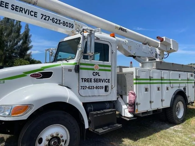 Professional garden landscaping in Pinellas Park, FL by CPL Tree Service & Landscaping