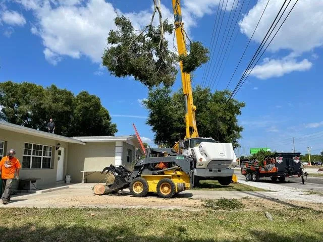 Trusted residential landscaping experts serving Pinellas Park, FL - CPL Tree Service & Landscaping