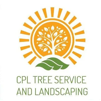 Trusted outdoor landscaping for year-round maintenance across Pinellas Park, FL - CPL Tree Service & Landscaping